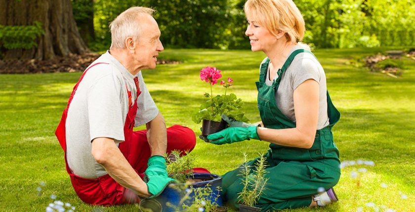 gardening